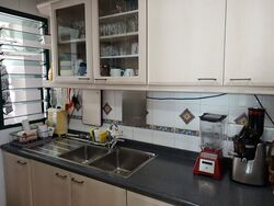 Parc Palais (D21), Condominium #569778171